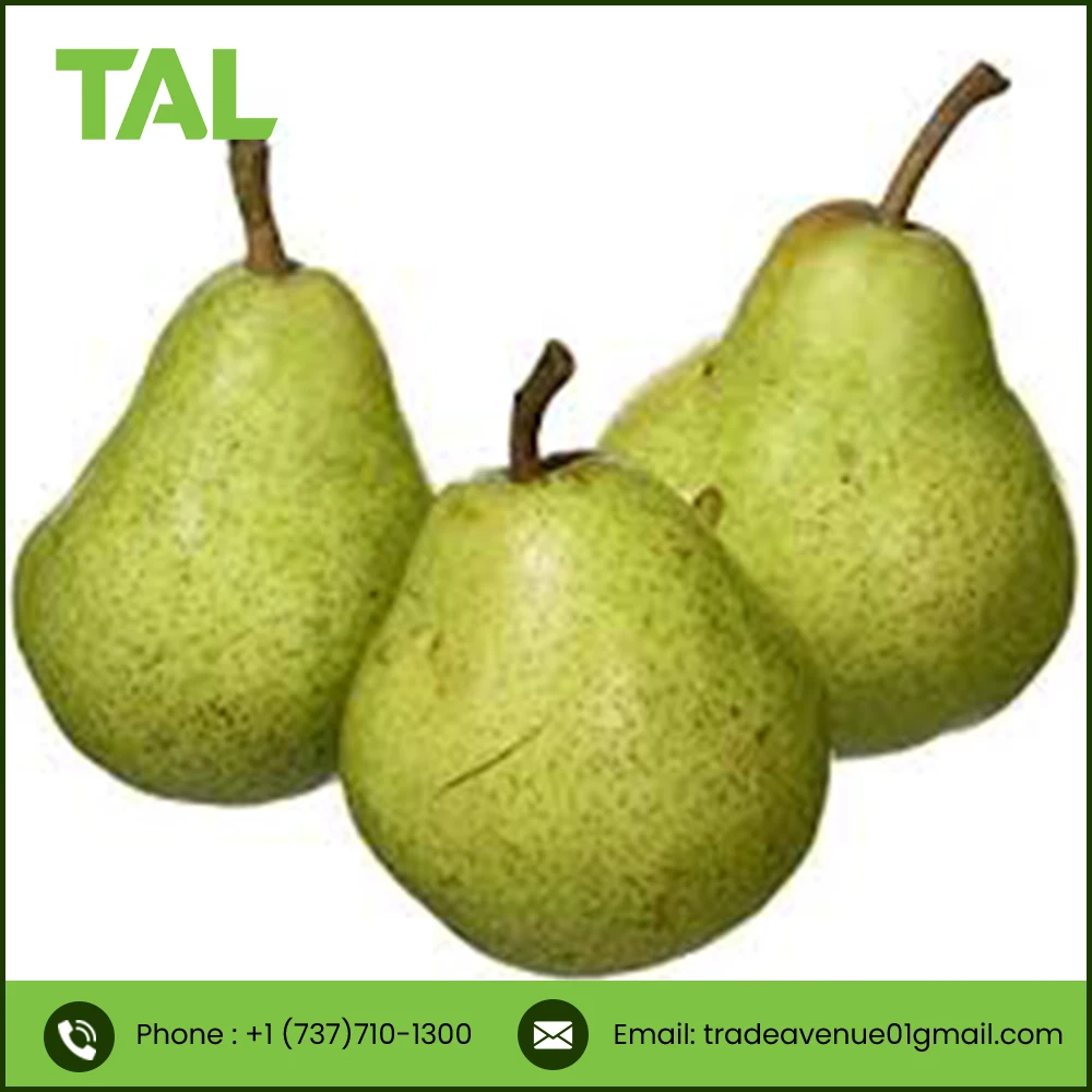 TOP QUALITY fresh green pear fruit from South Africa