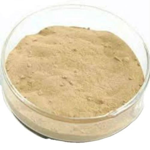 NEUTRAL PROTEASE ENZYME