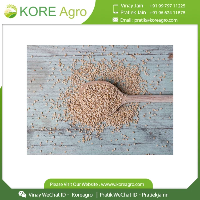 Wholesale Price  Pure Sesame Seeds Agriculture Product Natural Black Sesame