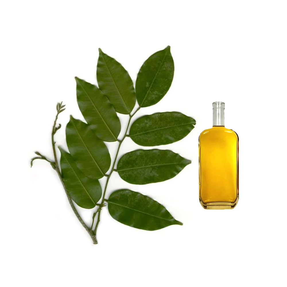 Bulk Selling Pure and Natural Balsam Peru Essential Oil Face Body and Hair Growth Use