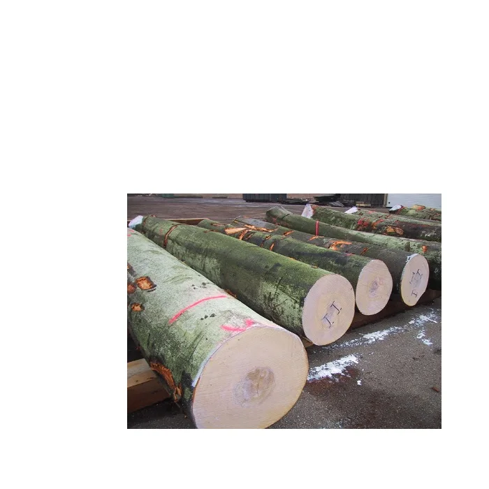 Sawn Timber logs/Beech Logs For Sale In Europe At Low cost.