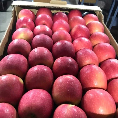 
Grade Fresh Apples/German Apples/2020 new fresh fruits red Fuji apples 