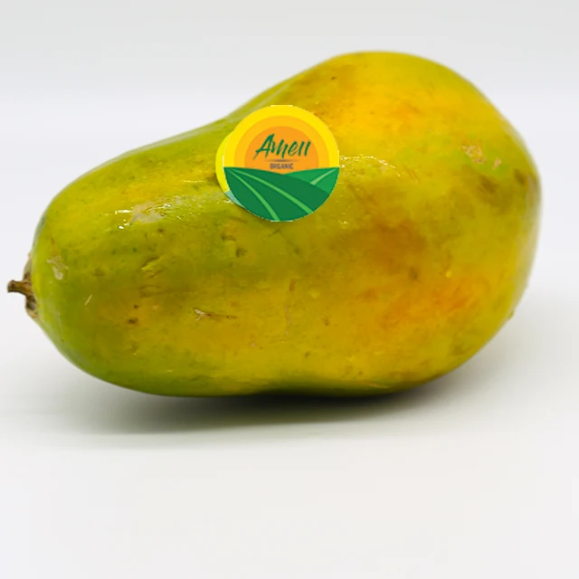  VIET NAM PAPAYA WITH HIGH QUALITY BEST