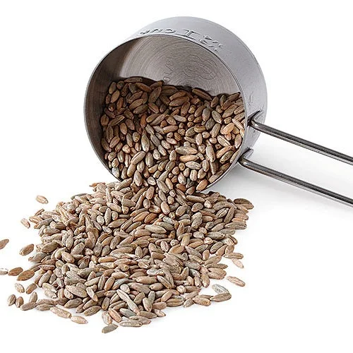 High Quality Rye Grains at Cheapest Wholesale Prices Available In Huge Stock