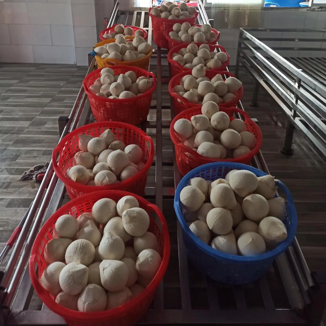  Сладкая вода свежая нежная Кокосовая зеленая молодая кокосовая