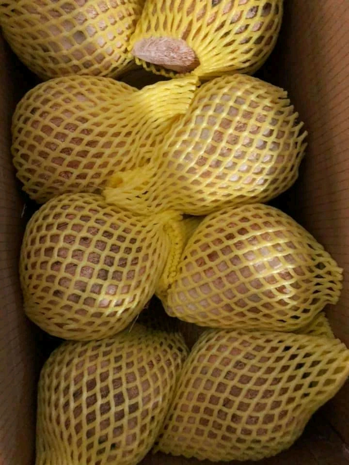 Натуральный коричневый полуочищенный кокос из Вьетнама высокого качества-Лучшая цена на экспорт