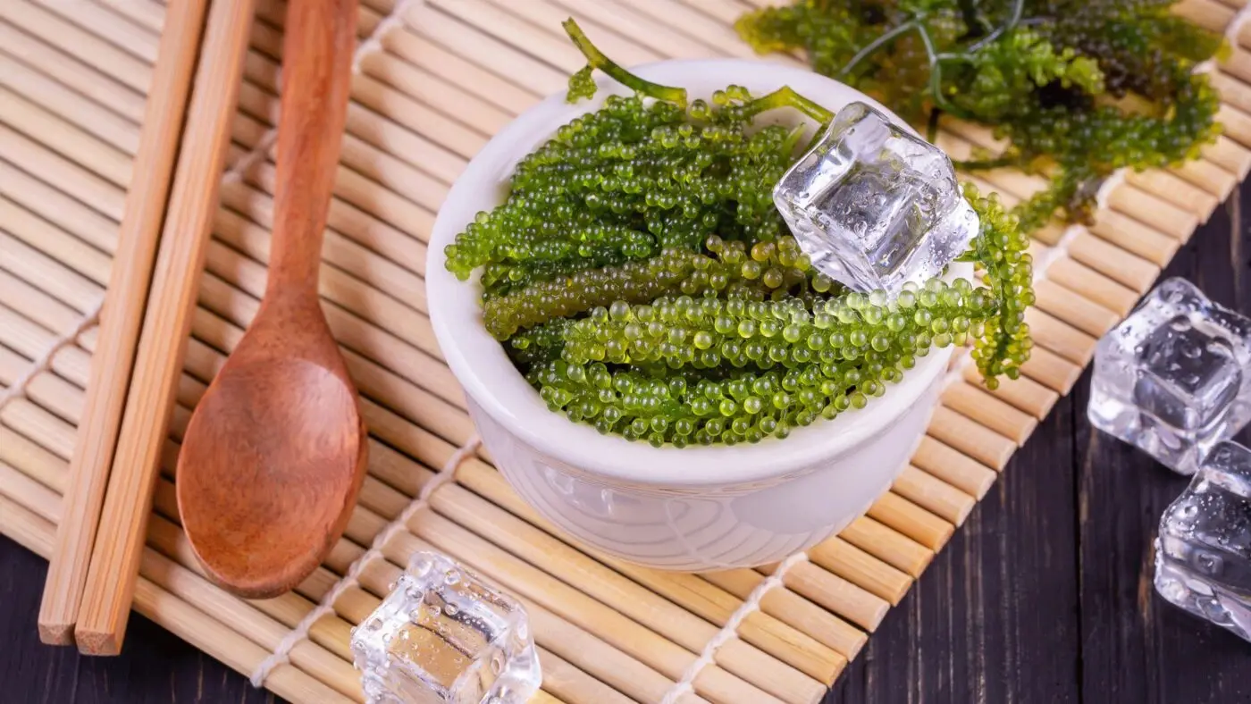 Оптовая продажа свежих соленых видов винограда сделано во Вьетнаме/Лучшая цена/мисс Анни: + 84 973 125 732 (Whatsapp)