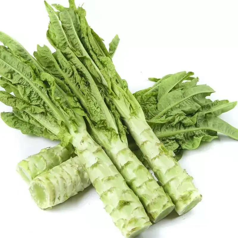 Factory Direct Selling High Quality Natural Fresh Green Lettuce Vegetables