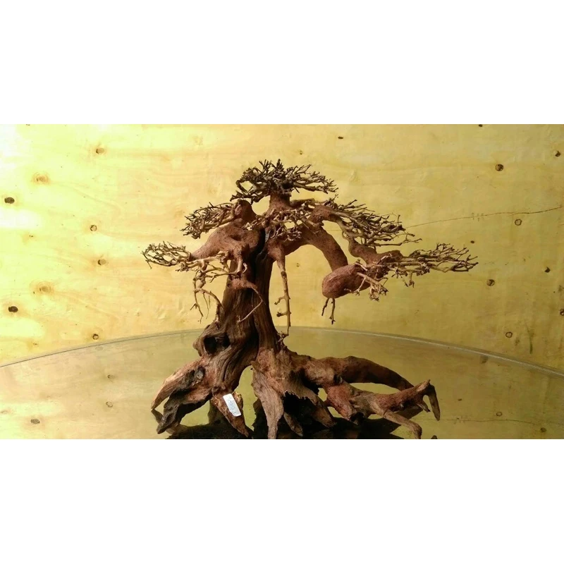 2024 лучшие продукты натуральных коряг бонсай для украшения аквариума вивариум WhatsApp + 84 961005832