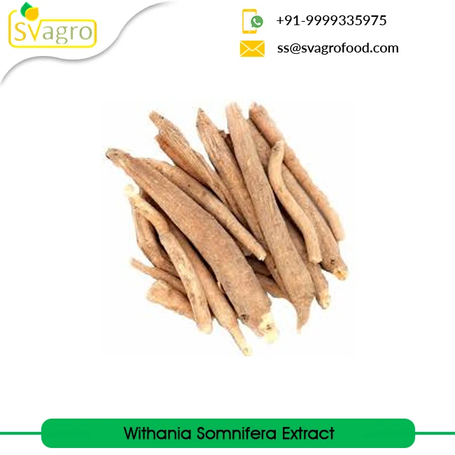 Withania Somnifera Extract Ashwagandha Extract at Wholesale Price Manufacturing Herbal Extract from India Root Powder Food 25 Kg