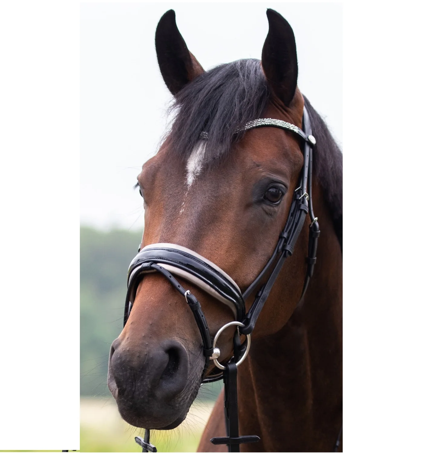Высококачественная уздечка лошади с ремешком для бровей с кристаллами Rock на высококачественной индийской коже с латунными пряжками мягкая подкладка из коровьей кожи