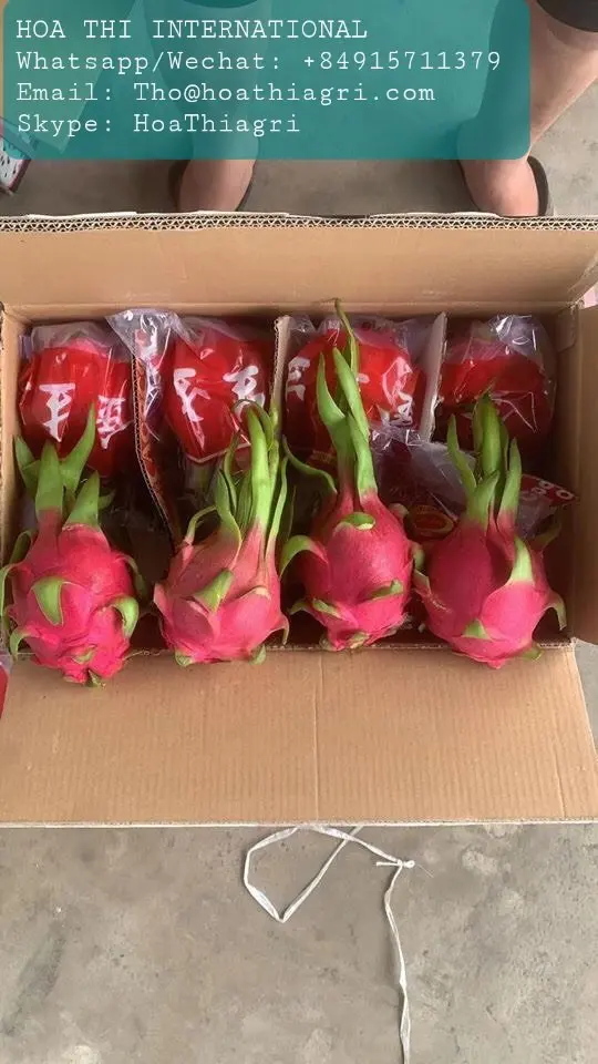 High Quality and Best Price Red Flesh 350-600gram Vietnam US, EU, ASIA Market Sweet Taste Fresh Dragon Fruit