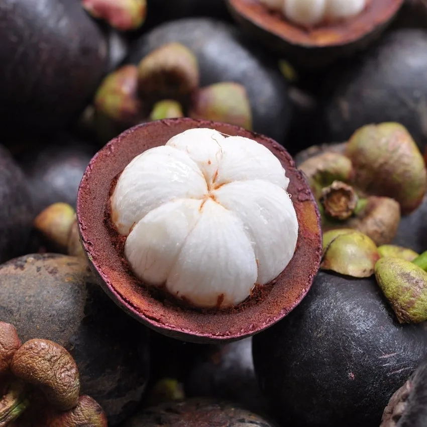 Viet Nam Farm Organic - Mangosteen Fruit International Standards