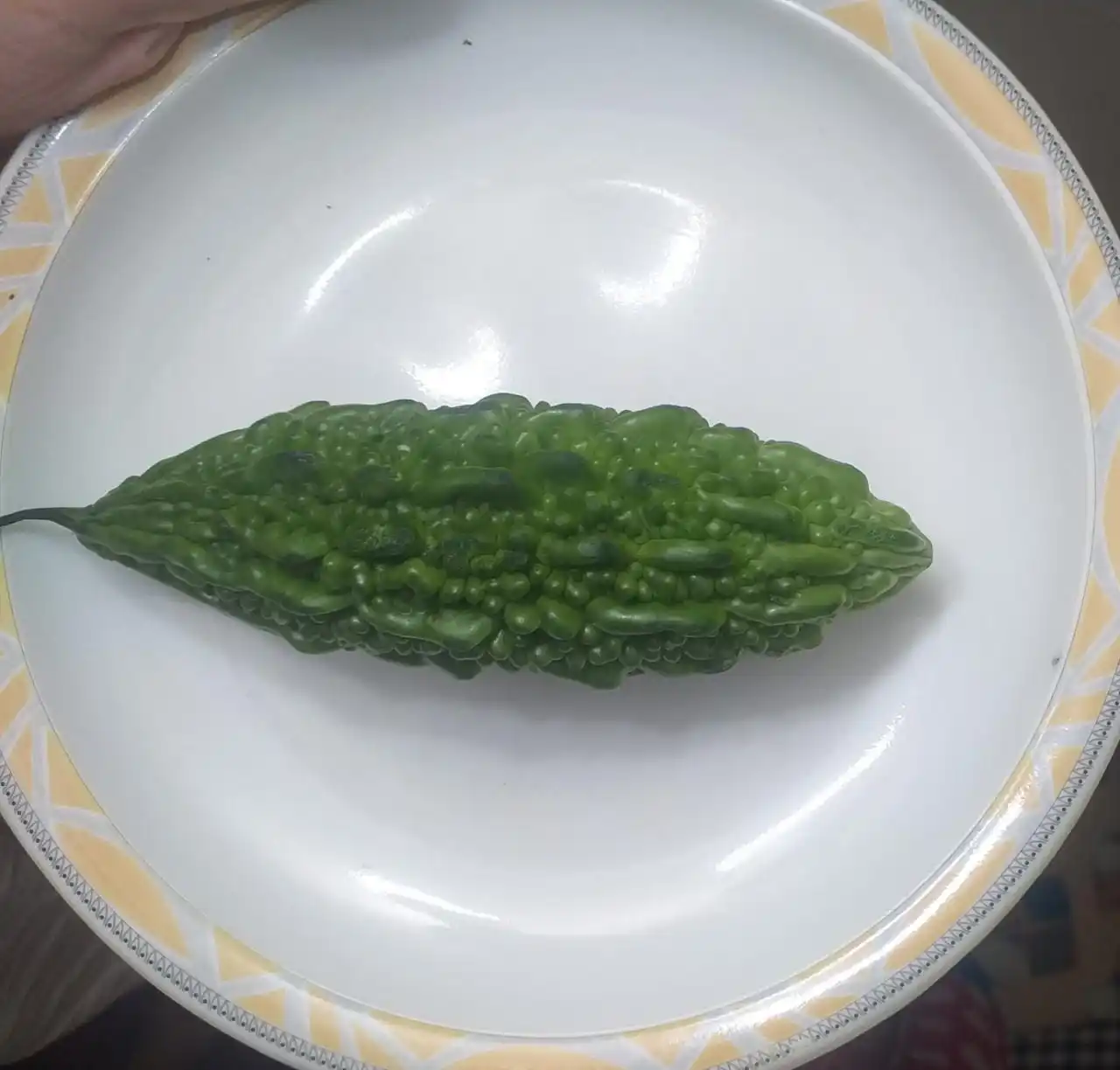 
BITTERGOURD SEEDS LAHER SEEDS F1 