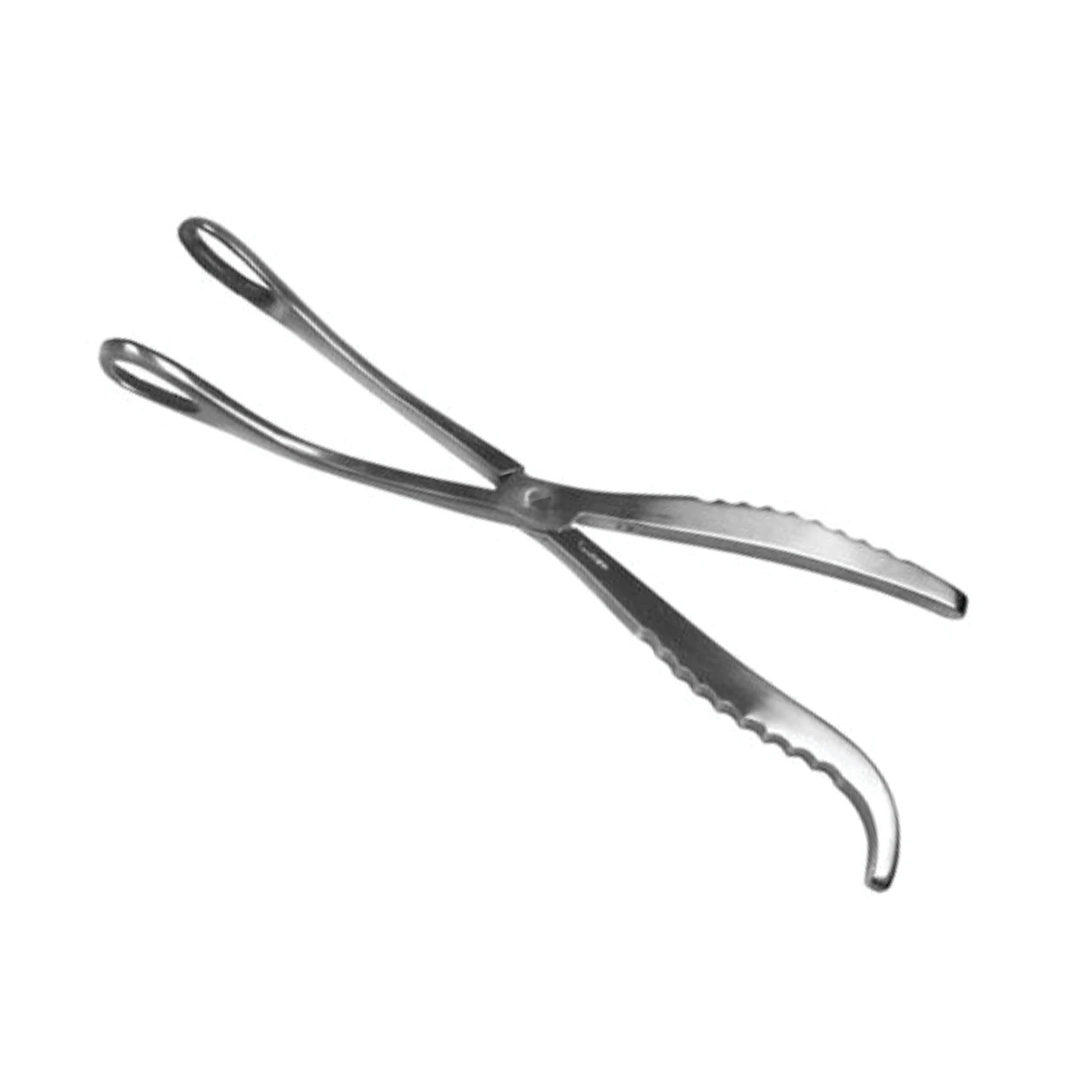 Surgical Instruments McLean Whelpings Forceps 8 Inch Small Breed Unit of Measurement Stainless Steel CE Approved