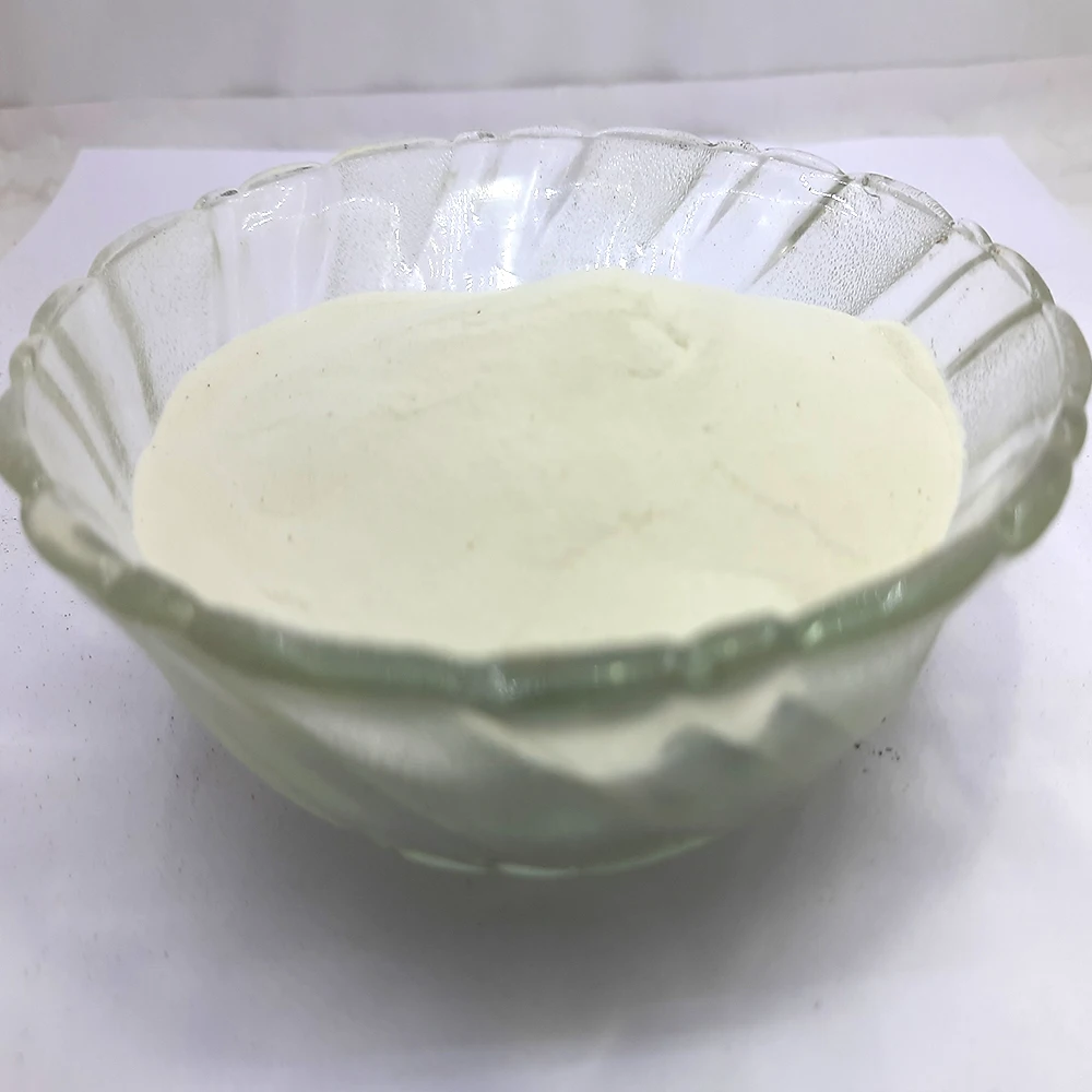 Serrapeptase 2400 IU Food Powder Enzymes