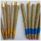 paste-pic-dp_uuid_pzwyu