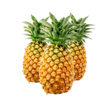 High quality pineapple slices, pineapple cans at cheap price - Vietnam dried pineapple / frozen pineapple export to EU, USA