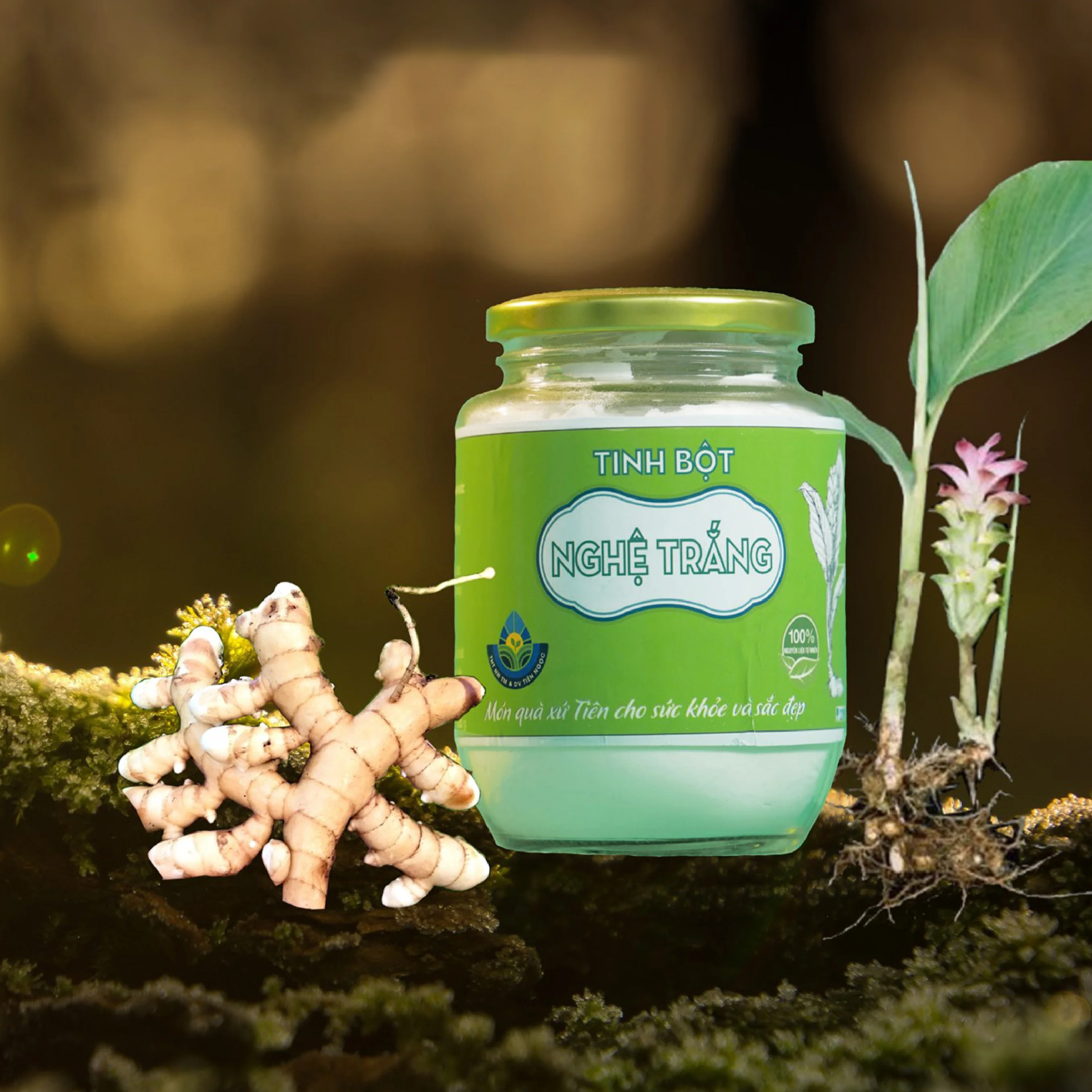 
Vietnam Supplier 100% Natural Oganic White turmeric powder 100g Health products 