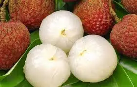  Свежий Личи в сезон _ сладкие вкусные LANI + 84969331308