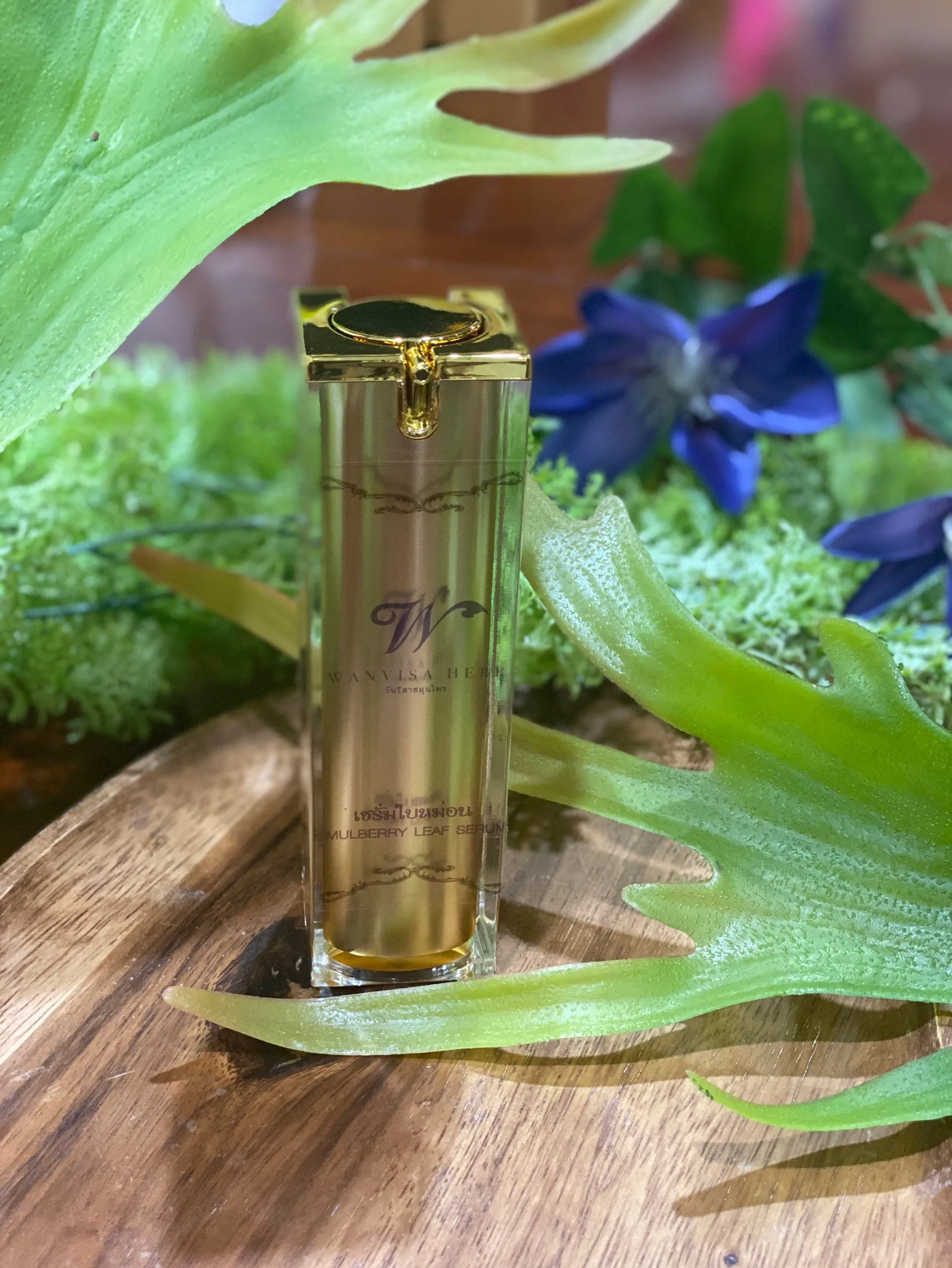 Herbal Mulberry Leaf Extract Serum Moisturizing Nourishing Pigmentation Corrector Anti-Wrinkle Face Neck Eyes Treatment Oil