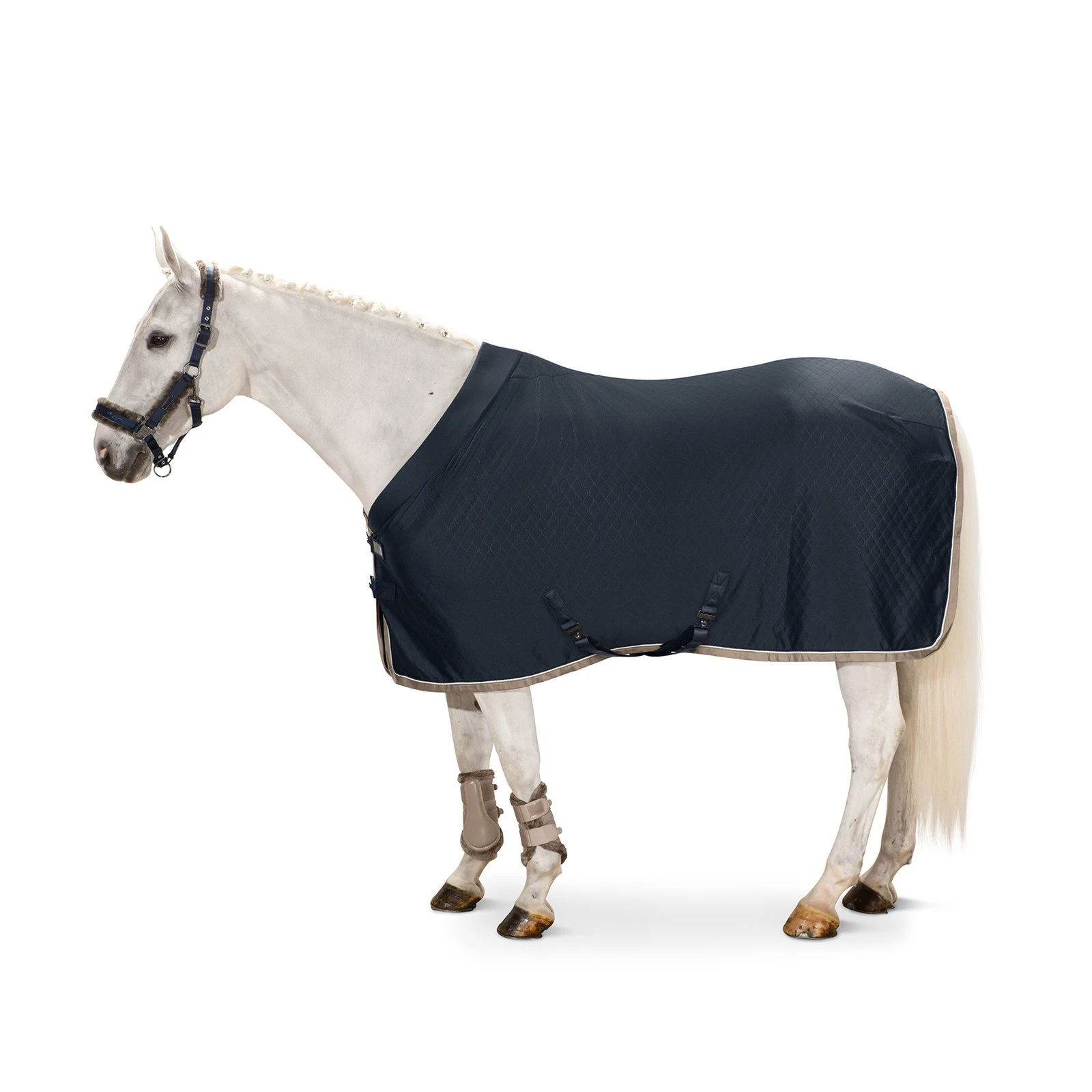 High Quality Soft Fabric Horse Winter Clothing Blanket Custom Horse Rugs, Horse Blanket rugs Cotton by canleo international