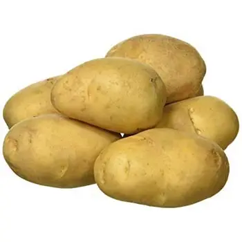 High-quality Yellow Fresh Organic potato/fresh potato price/Russet potatoes bulk