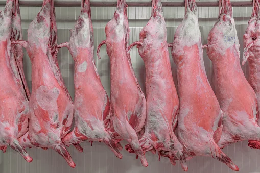 Top Grade Frozen Lamb ,Sheep Meat Wholesale Price Frozen Lamb ,Sheep Meat