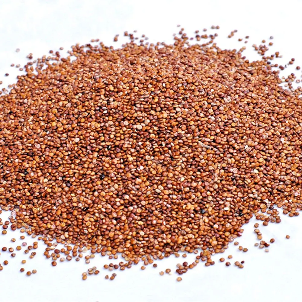 
ORGANIC RED QUINOA 