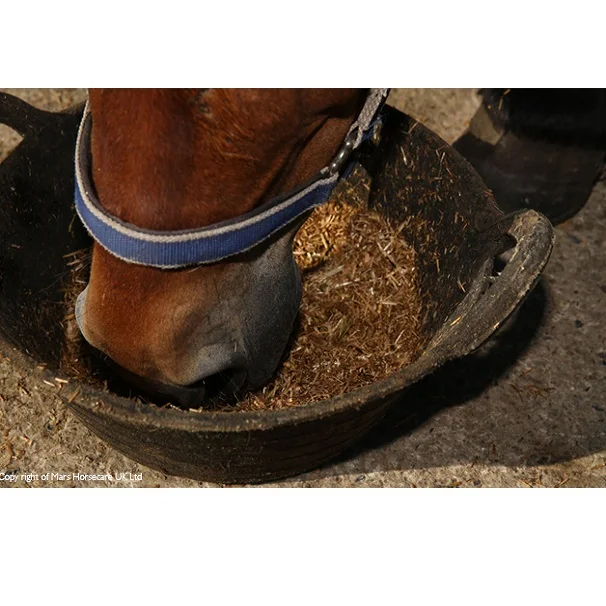  Корм Для Лошадей высокого качества органический по конкурентоспособной цене