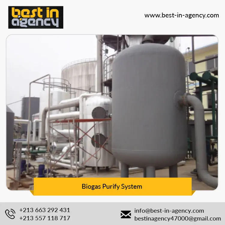 Natural Gas Water Removal Biogas Purify Decarburization System Manufacturer