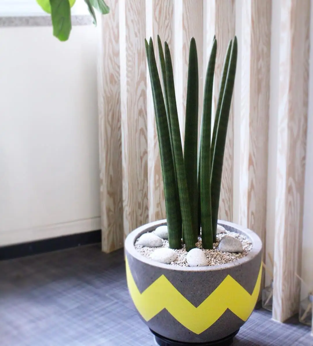 High Quality Small Indoor Ceramic Planter Pot Smooth Finished with LED Lamp New Top Garden Supplies Small Decorative Space