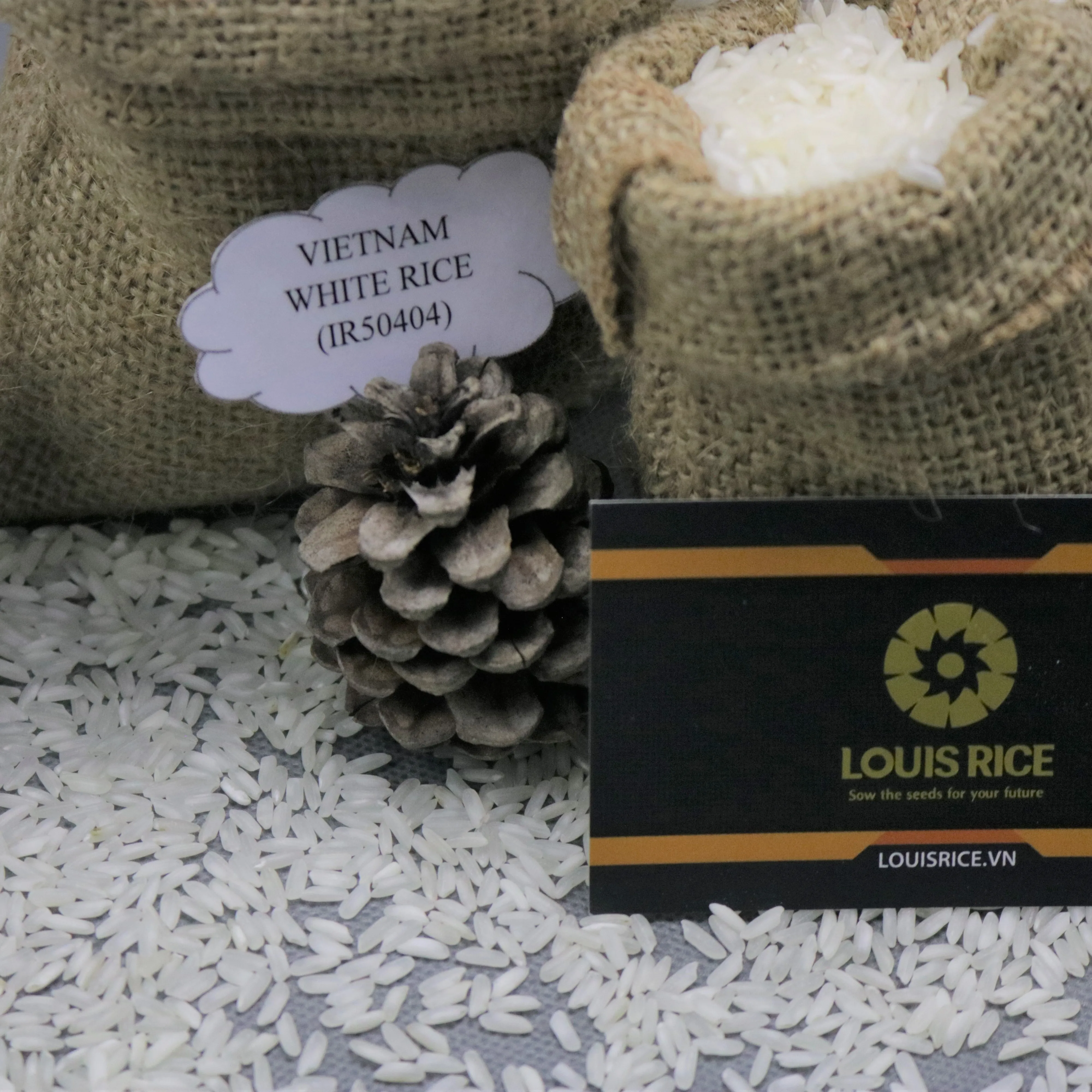 Cheap price vietnam white rice 5% broken MR. WAYNE (Whatsapp: +84909077813)