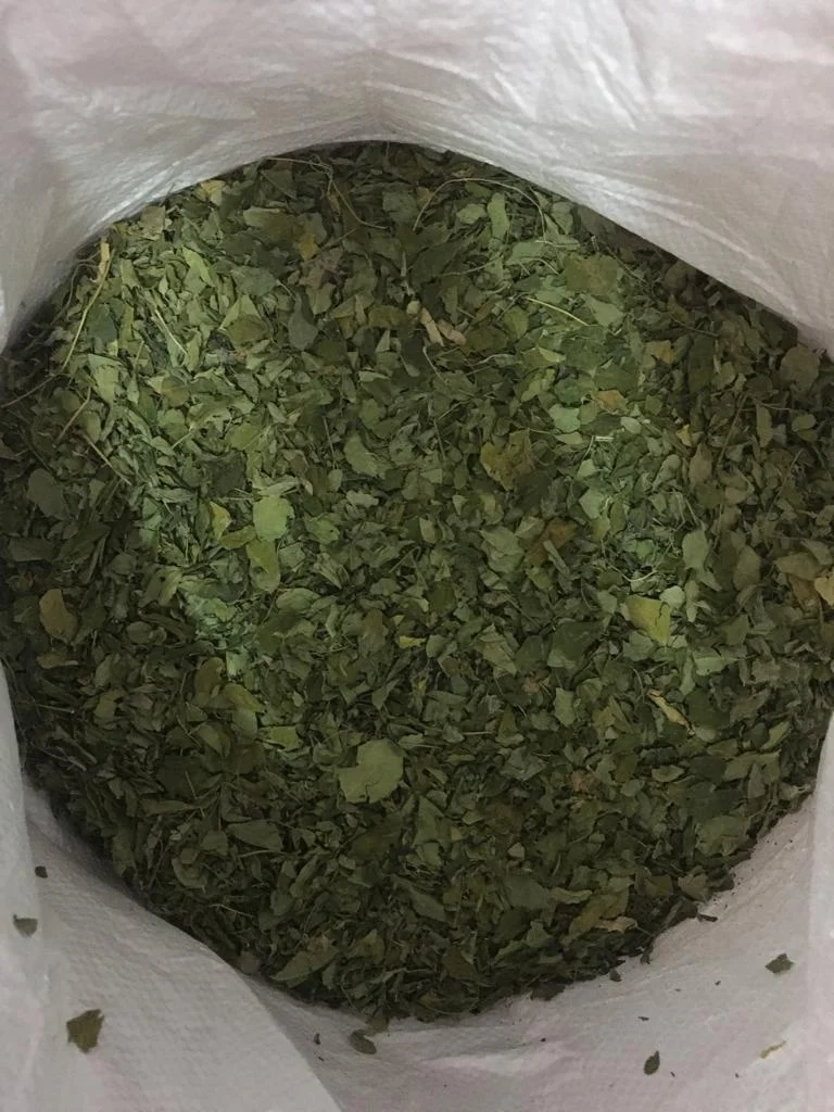 Good Selling Moringa Dried Leaf for Home Daily Usage for making Moringa Soup, Moringa Tea for High Nutrition