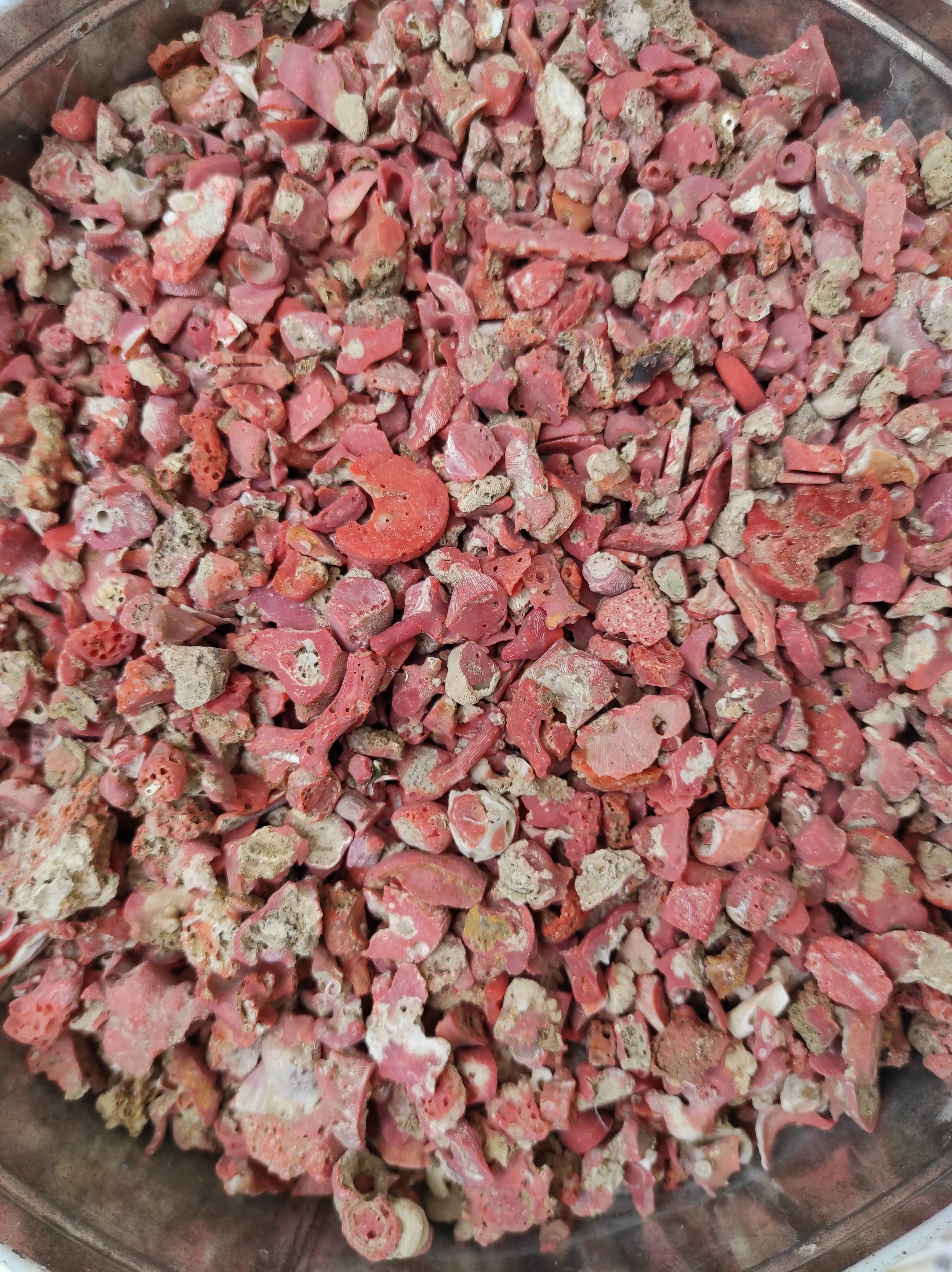 
Unpolished Italian Red coral waste leftovers Mediterranean Sea by Sardinia coast corallium rubrum made in Italy 