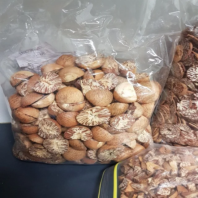 Сушеные Индонезия высокое качество опт/ПОЛОВИНА ОРЕХ катеху