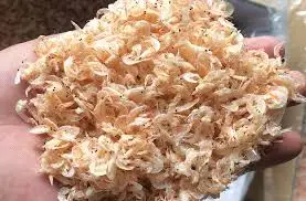 Freshly Dried Baby Shrimp from Vietnam Whole Red Shrimp Frozen Cooked and Fried Packaged in Bags or Bulk Direct Supplier
