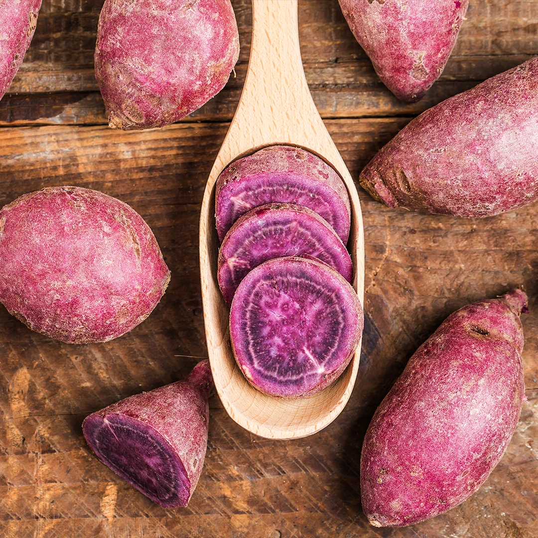 Vietnam Dried Purple Sweet Potato Stick Wholesales HACCP Certificate