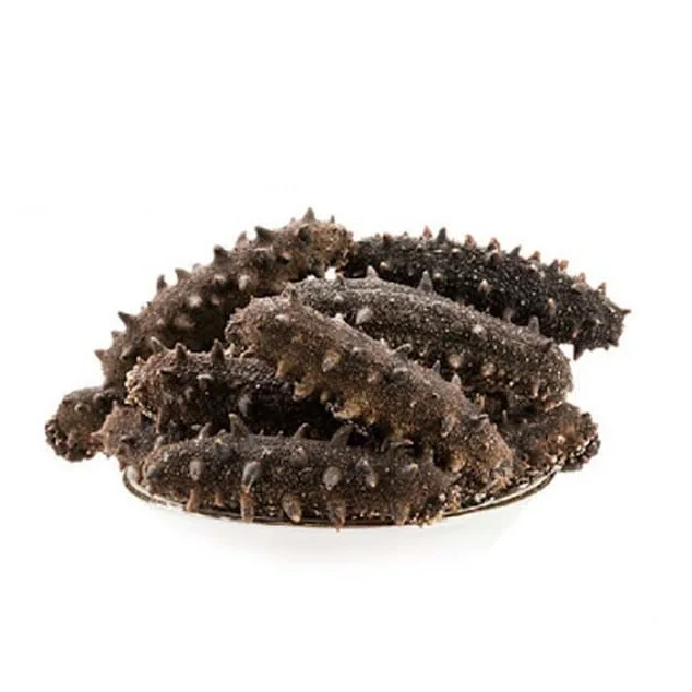 DRIED SEA CUCUMBER HIGH QUALITY WHITE TEAT FISH CHEAP PRICE ELEPHAN TRUNKFISH FROM VIETNAM