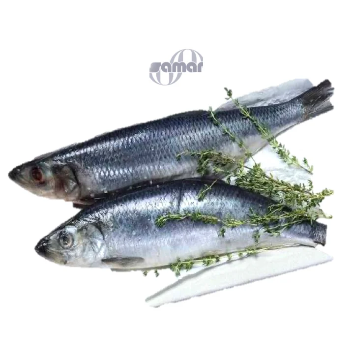 
Frozen Herring Fish, Imported from the UK & Norway, Fresh Wild Seafood 