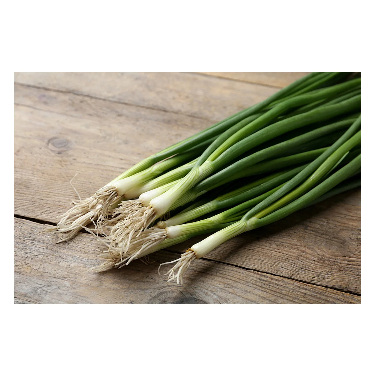 
High Quality Fresh Vegetables Scallions Available For Sale 