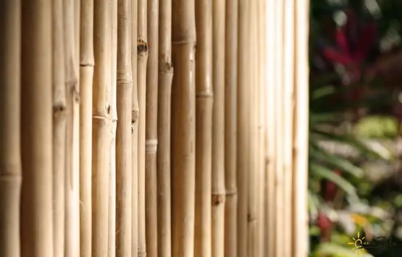 Премиум-поставщик хорошая цена деревянные бамбуковые защитные панели для сада