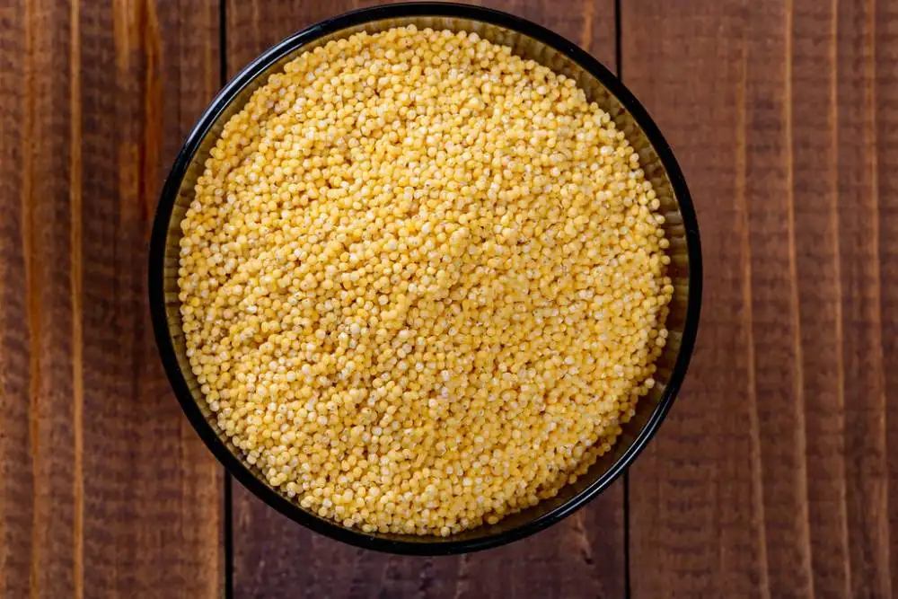 green millet (Bajra)