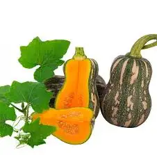 Недорогие экспортные тыквы/жасмин + 84 896679047