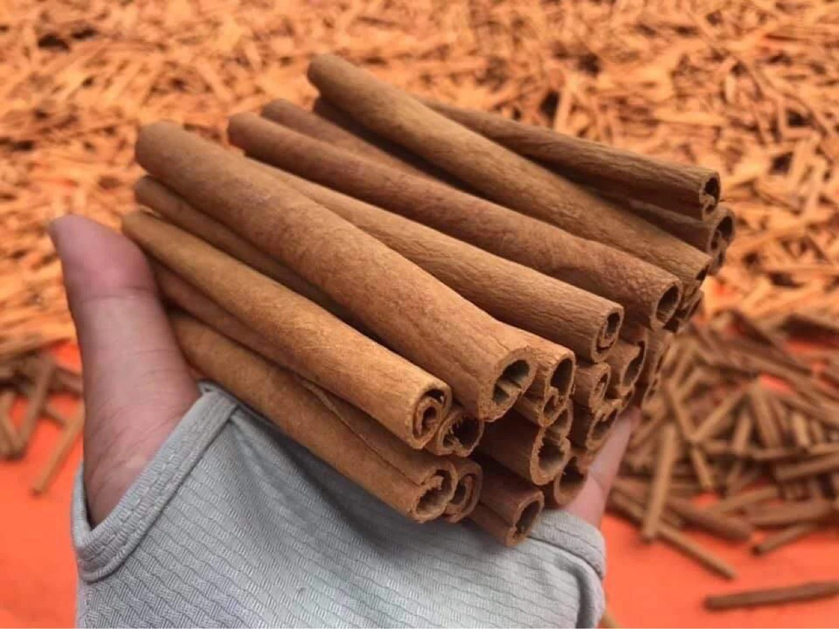 Premium Quality Cassia/ Cinnamon from Manufacture from Vietnam Ms.Lucy +84 929 397 651