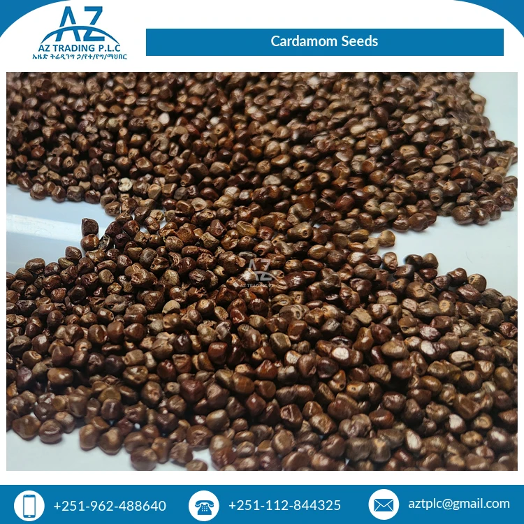 Natural Pure Organic Cardamom Seeds Dried Black Single Herbs & Spices Bulk Selling with 12% Max Moisture Granule Shape