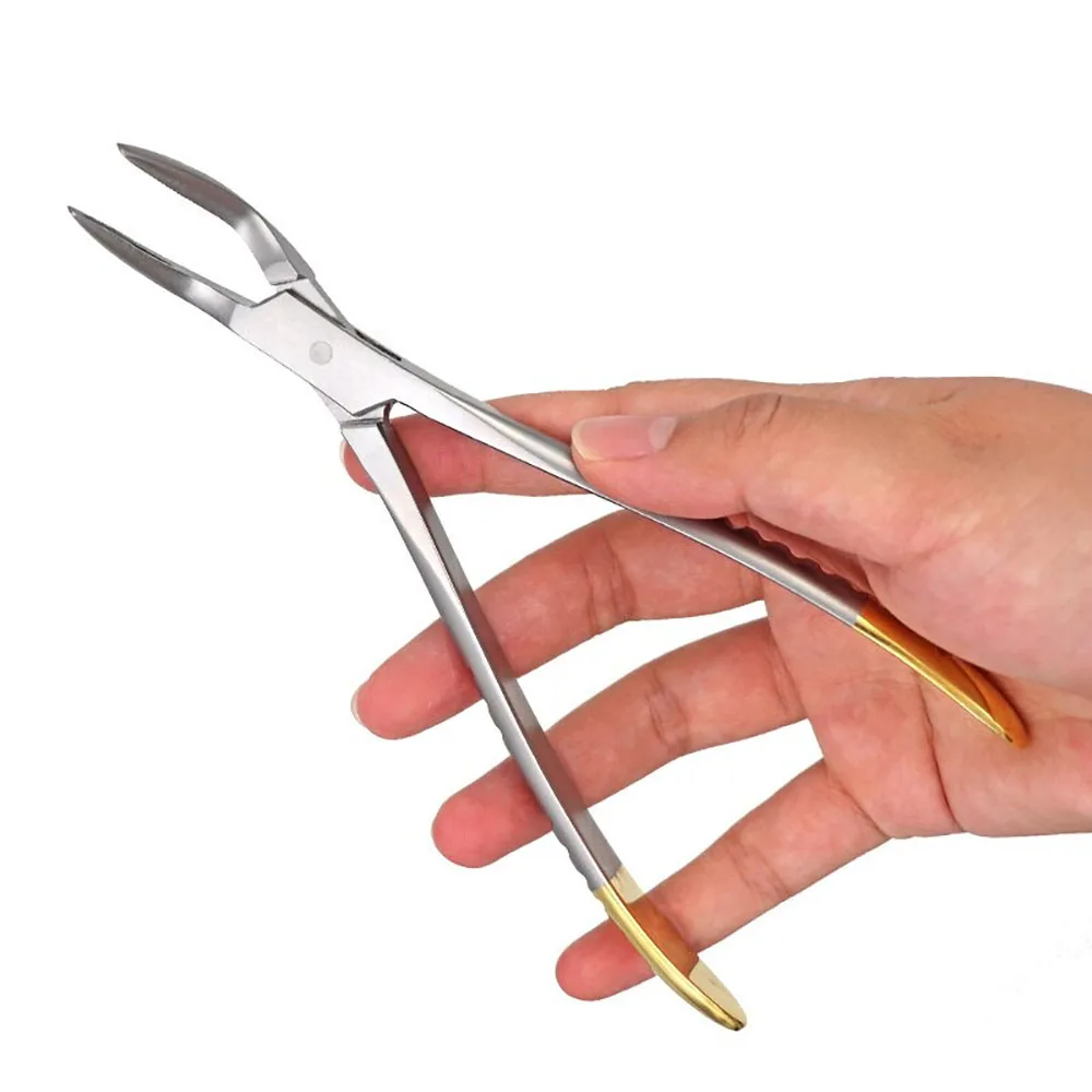 Dental Root Residual Fragment Forceps Minimally Invasive Extraction Broken Root Pliers Upper Jaw Lower Mandible Universal