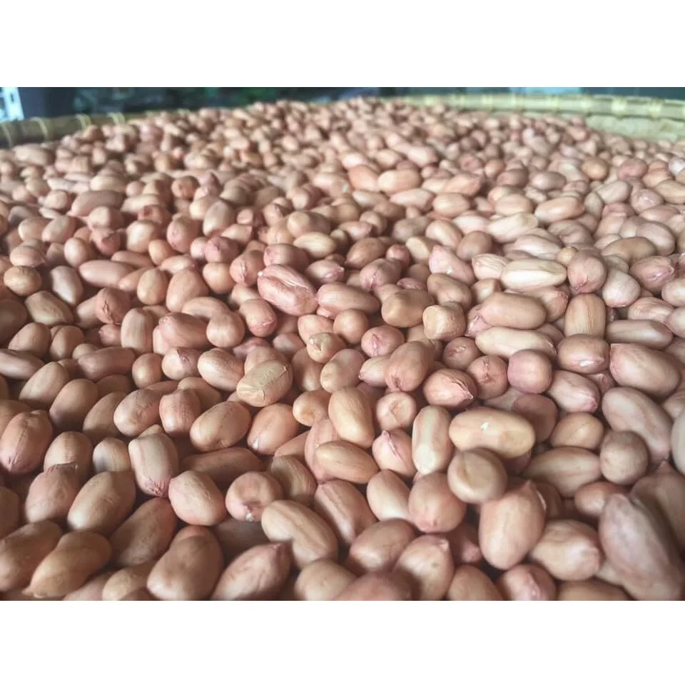 Wholesale Price Crop 2021 Light Pink Delicious Fresh Raw Peanuts With Vacuum Packing Bags From Vietnam Manufacturer