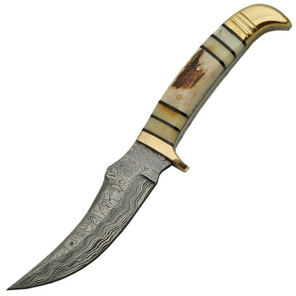 Beautiful Sizzco Damascus Steel Fixed Sharp Blade Hunting Camping Skinner Knife Handle Stag Horn, Bone with Brass Clip
