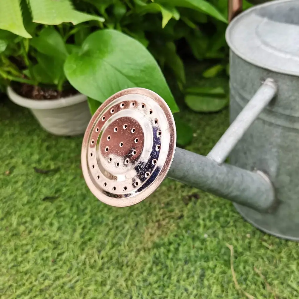 Металлические лейки 1 галлон для наружного и внутреннего растения декоративные в фермерском стиле винтажная оцинкованная сталь Лейка